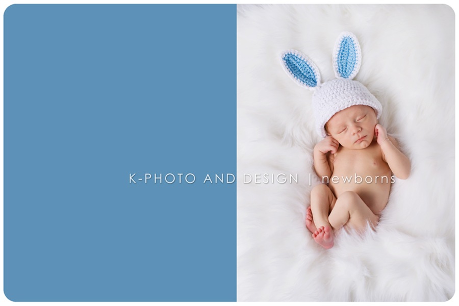baby bunny